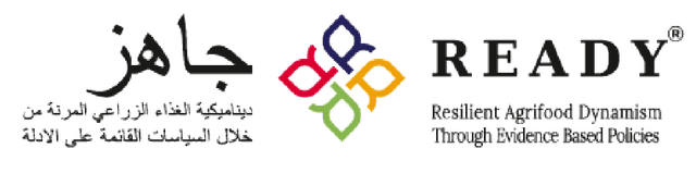 READY Logo