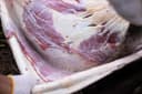 Cattle meat
