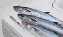 Fisheries