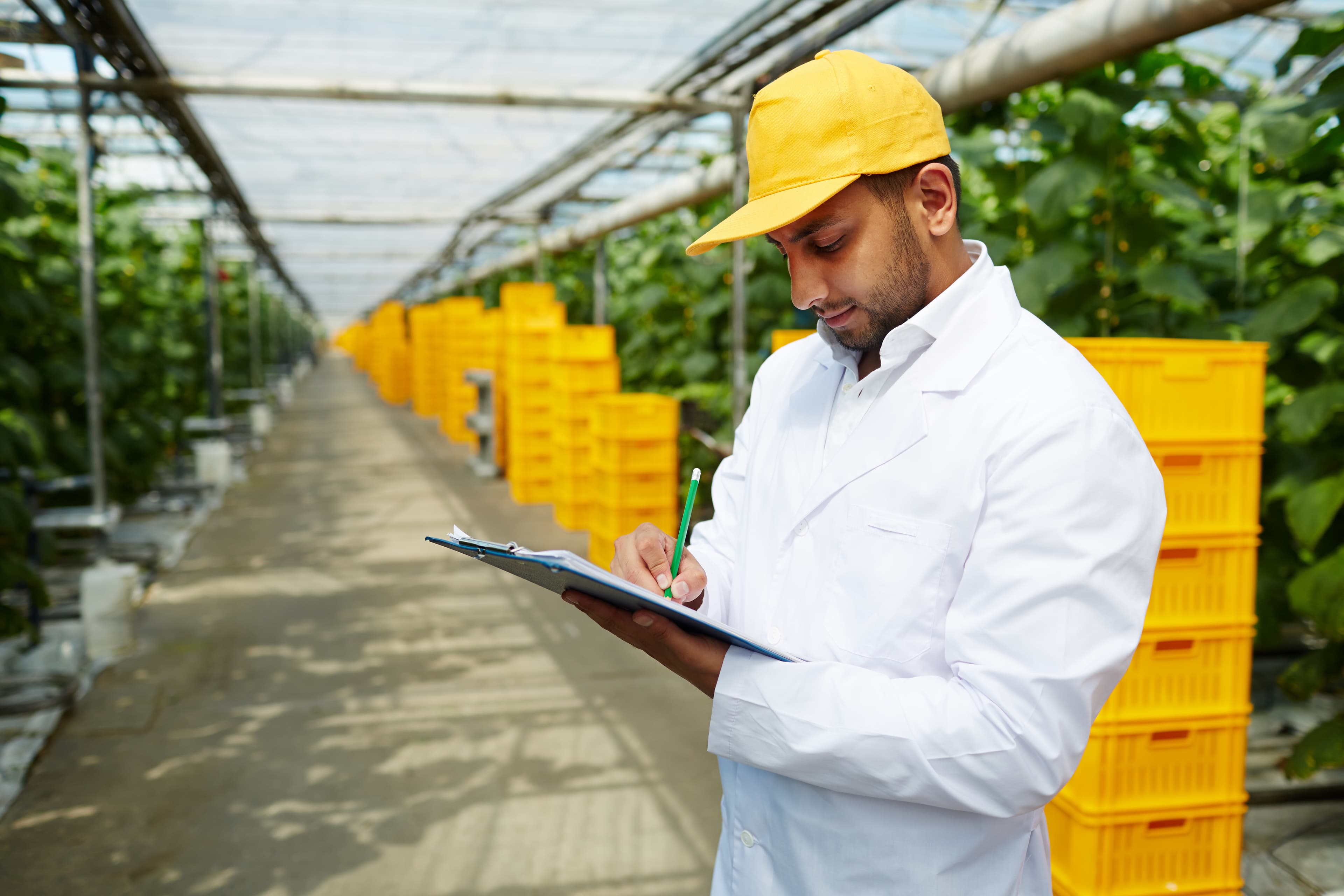 Exploration of Food Security Challenges towards More Sustainable Food Production: A Systematic Literature Review of the Major Drivers and Policies